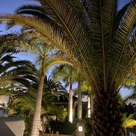 Daire Adeje Paradise