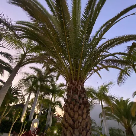 Apartmán Adeje Paradise Costa Adeje (Tenerife)