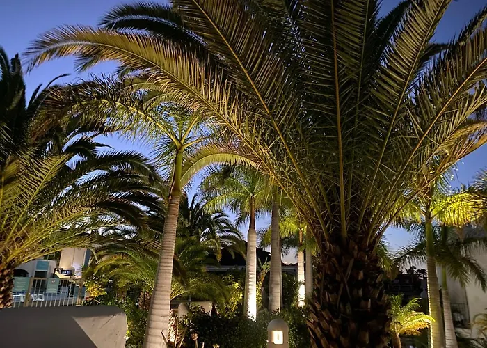 Apartment Adeje Paradise